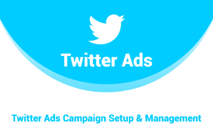 Twitter ads manager